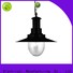 Longjian appealing pendant ceiling lights supplier for bedroom