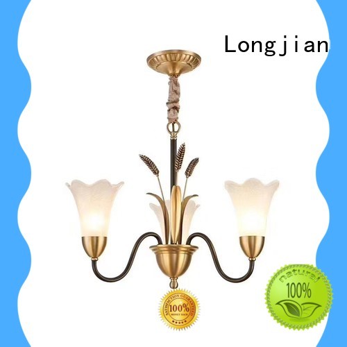 Longjian chandeliers modern ceiling lights temperature for cellar
