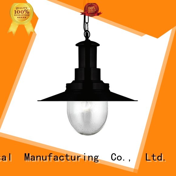 superb pendant lamp light manufacturers for garden